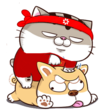 9TJKPr5.png