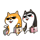 wE4Z4lI.gif