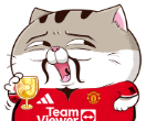 mRV706L.png