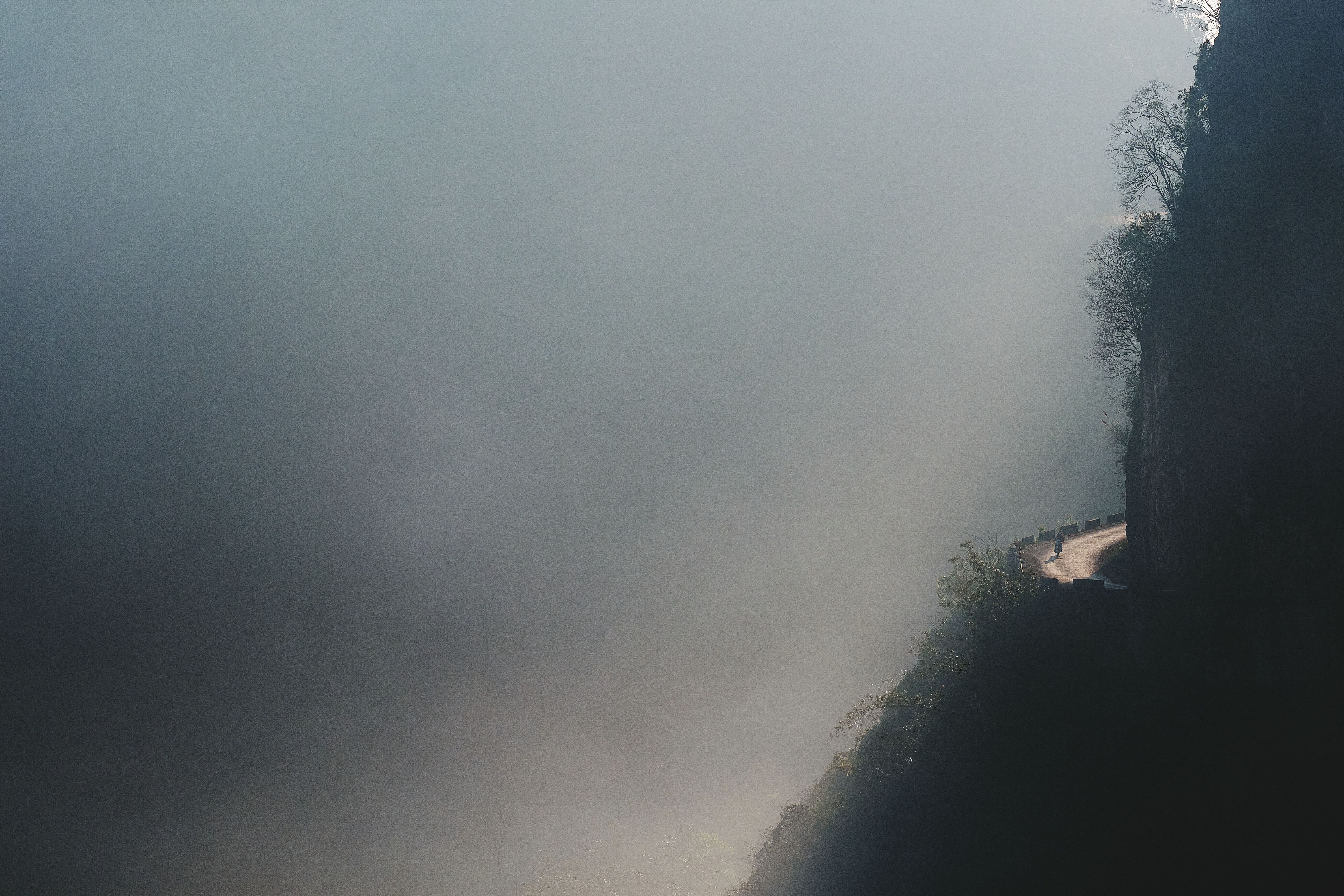 pexels-photo-18012097.jpeg