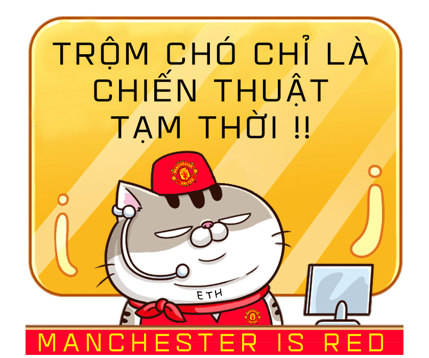 6PanRT8.png