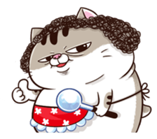 AMi1ay5.png