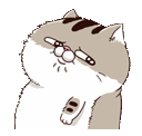 ZTPqXF9.gif