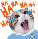 XHaiTNm.png