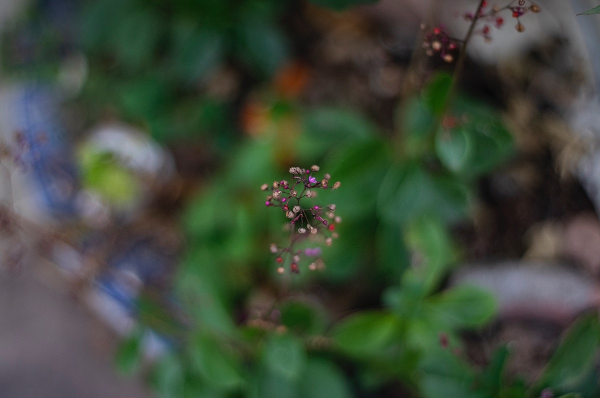2020c76eb9cd-9670-46c3-a47e-41f6933750b0.jpg