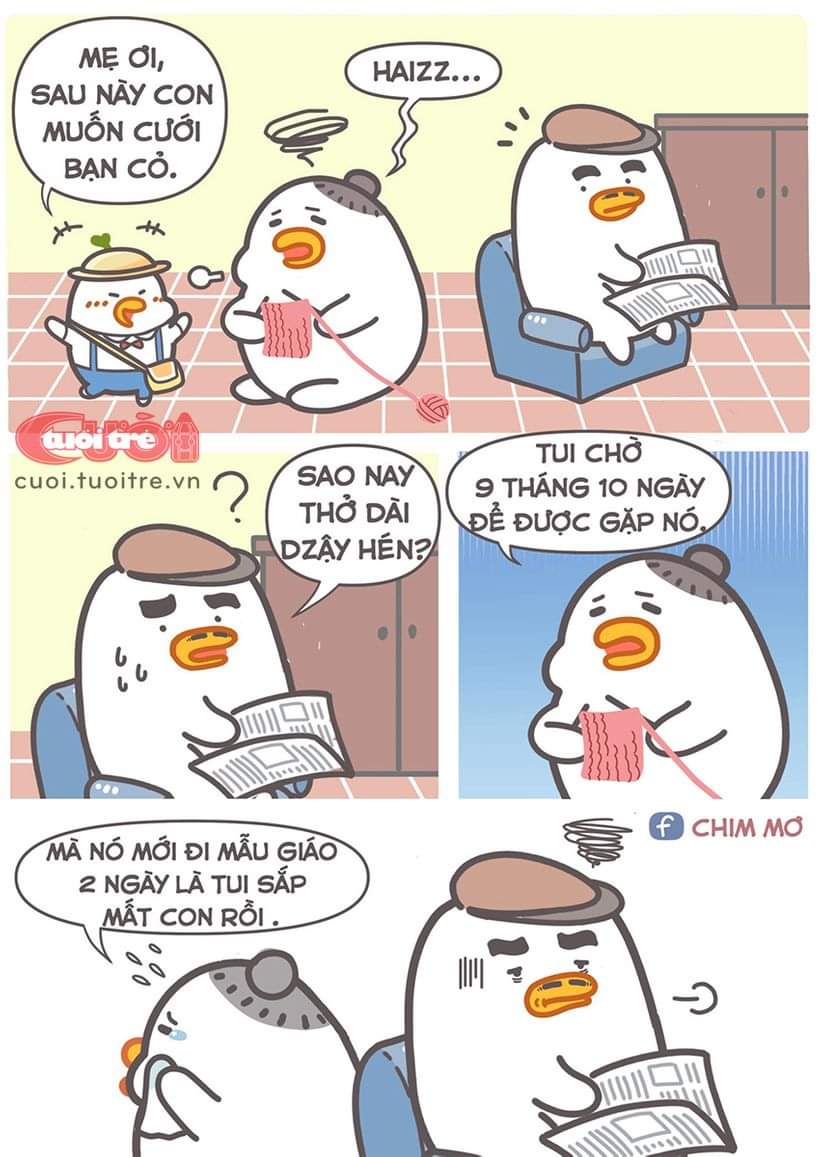 dNztC57.jpg