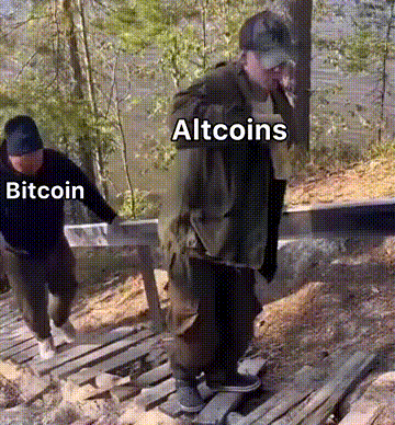 uCNhqsA.gif