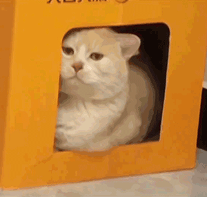 577e971ddbf1888a4ee71ed942ca7d659993.gif