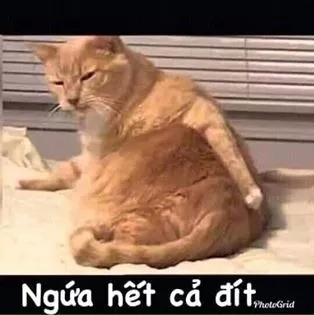14Z3UMr.jpg
