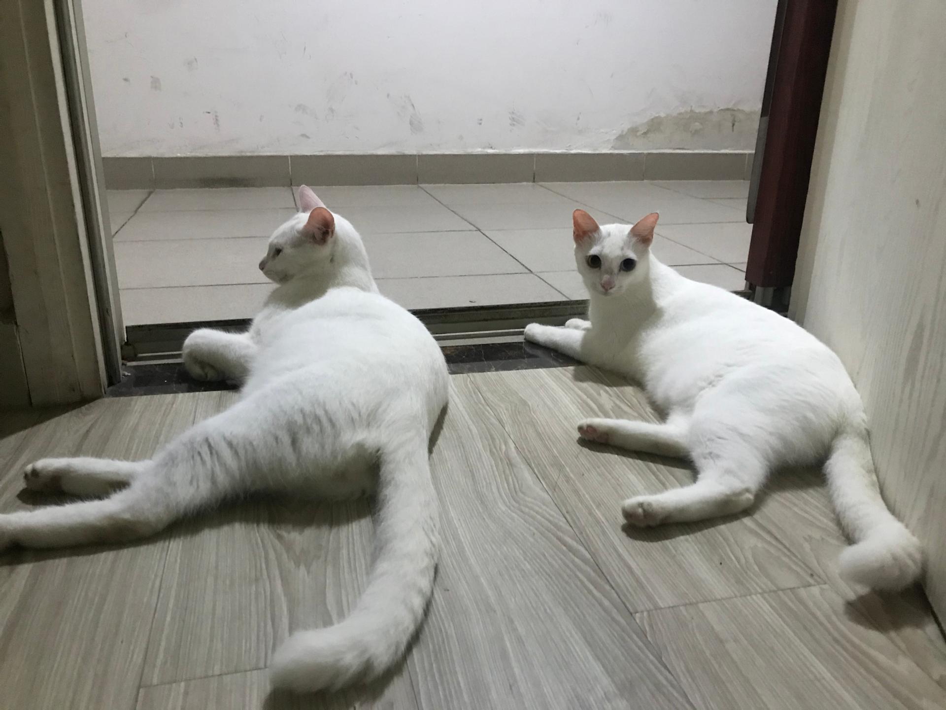 XLDKhJu.jpg