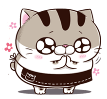 49OqScF.png