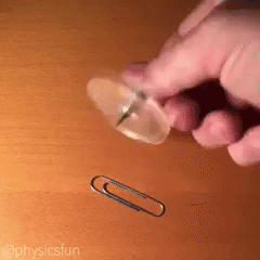 giphy.gif