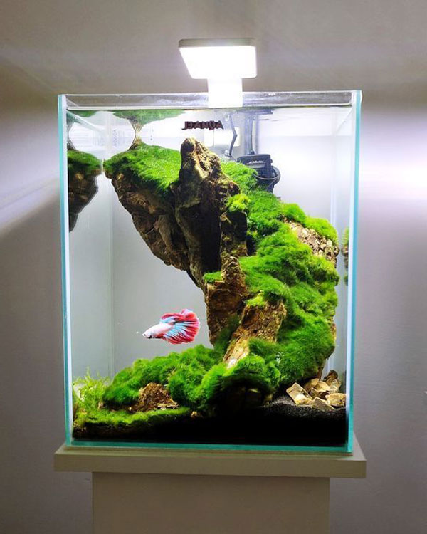 be-ca-mini-betta.jpg