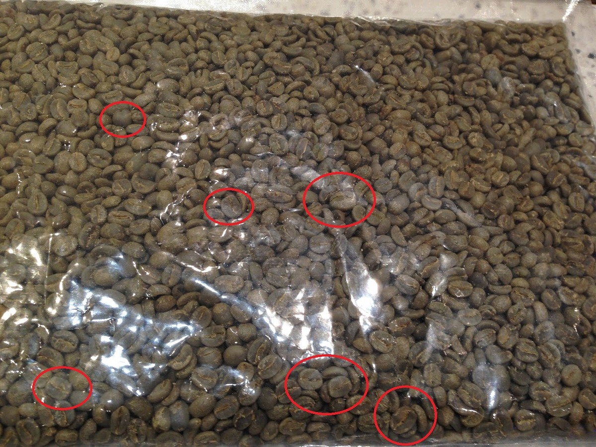 202083b827da-9ea0-40a3-9c70-57ca38e579f5.jpg