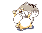 QFotiXM.gif