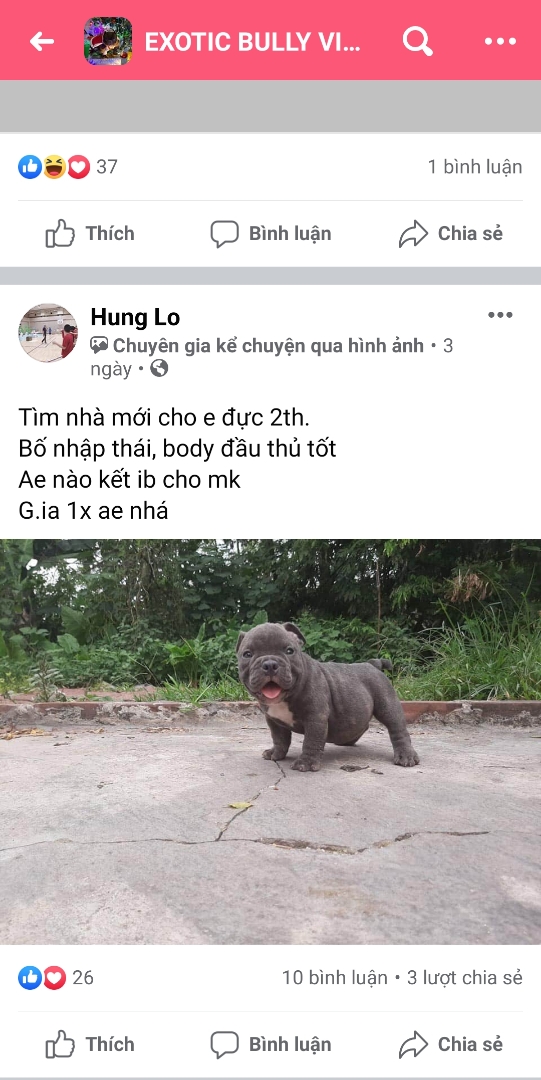 T3GKCDR.jpg