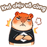 6Q5EYX5.png