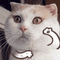 tKshBFP.gif