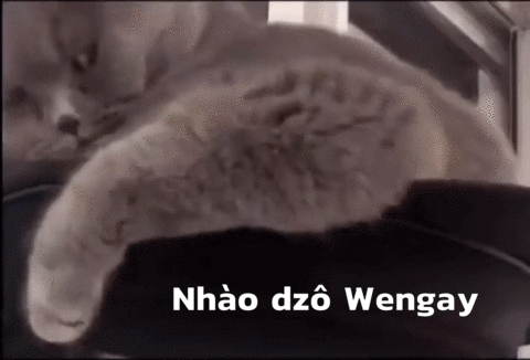 Bqq4I9T.gif