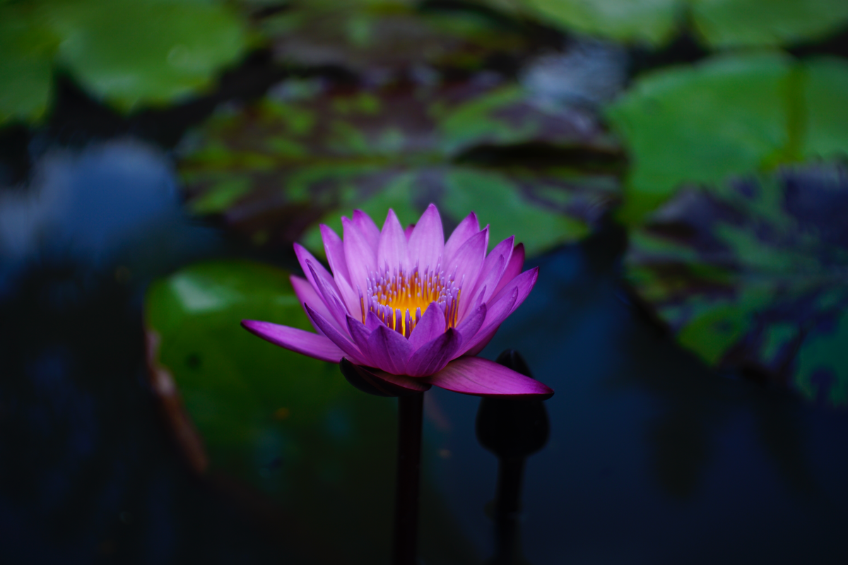 2021d3947d8c-639f-40f3-bcc5-bc284f993b82.png