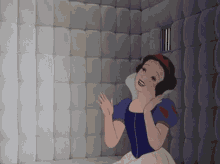 tenor.gif