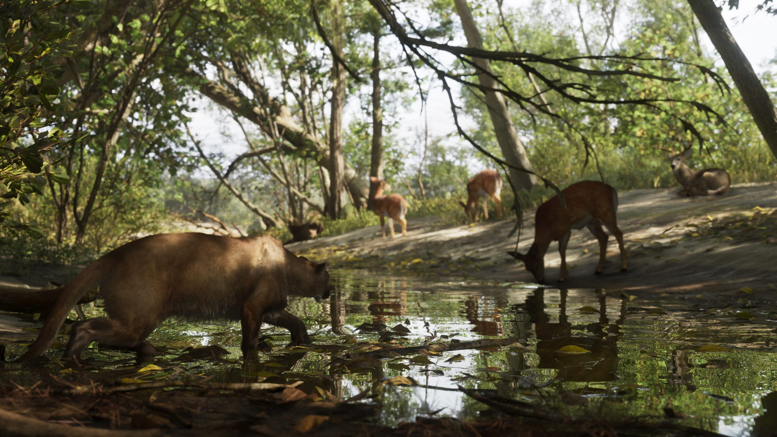 Mount_Kalaga_National_Park_05-scaled.jpg