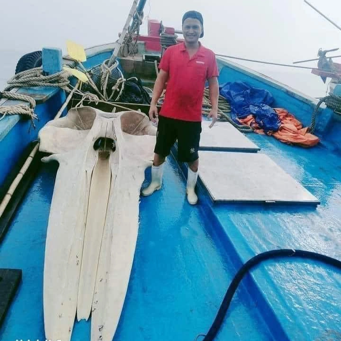 Ngư dân vớt được mảnh xương sọ cá voi nặng hơn 1 tạ - 1