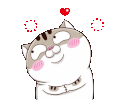 pDQtDqe.gif