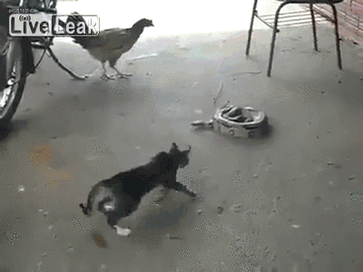 source.gif