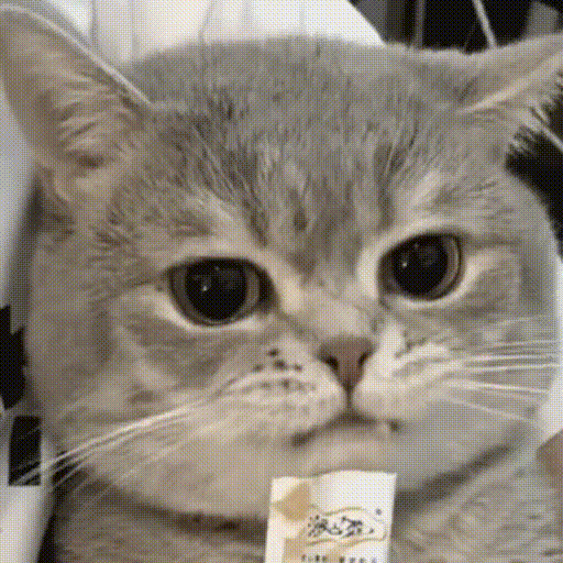 2IaCQB2.gif