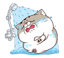 RH8tdop.gif