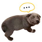 4ViM3rj.png