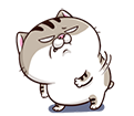 sj5wrqP.png