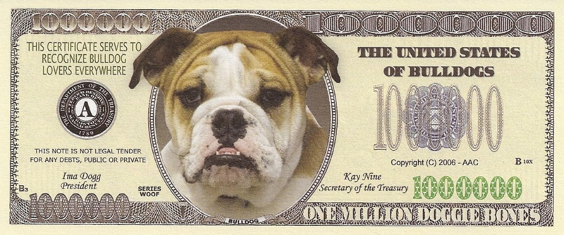 Bulldog-money.jpg