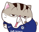 0Qh8FHY.png