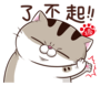 aqp15sy.png