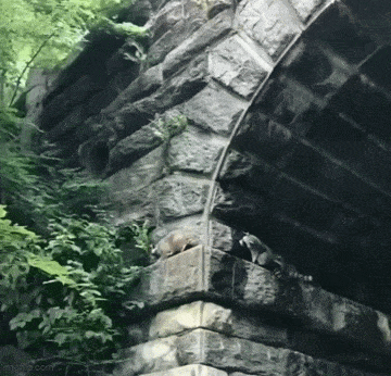 b754b67c04e89a4057a967d1081424c8.gif