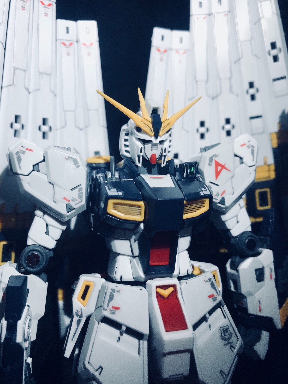 202031fa0b5d-b097-4c9f-9fd2-396c9dab8e77.jpg