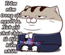 z1f8nc2.png