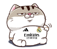 mJN9iJT.png