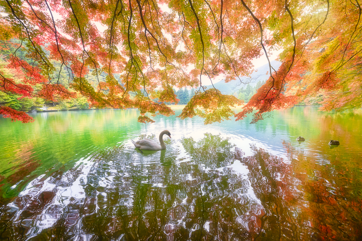 DSC03175-small.png