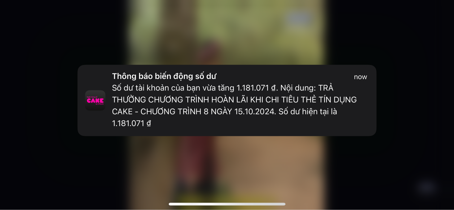 QhYoTns.png
