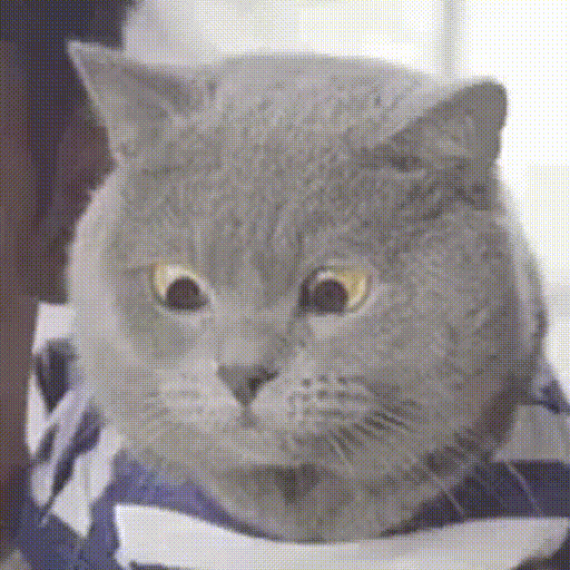 dxUv5aD.gif