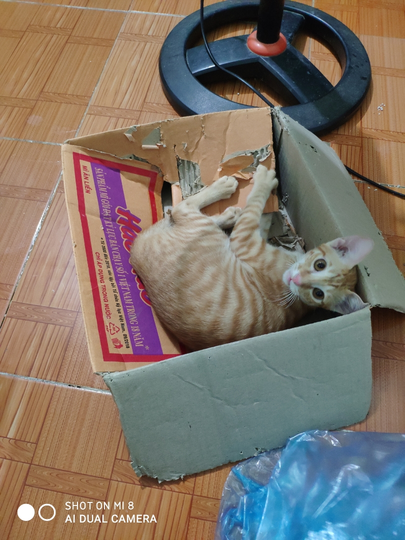 HgwqLfl.jpg
