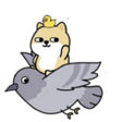 RfZKuTY.png