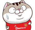 NhR1Iuc.png