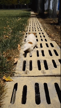 0464bb48a92410c80a1007284c10f969.gif