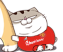 R33Slsa.png