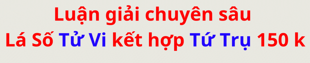 tuvivietnam.vn