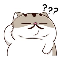 TSvSsyP.png